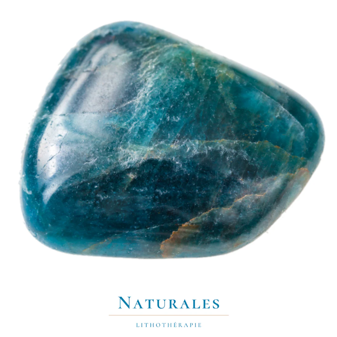 Apatite roulée - créativité / perte de poids / vie sociale