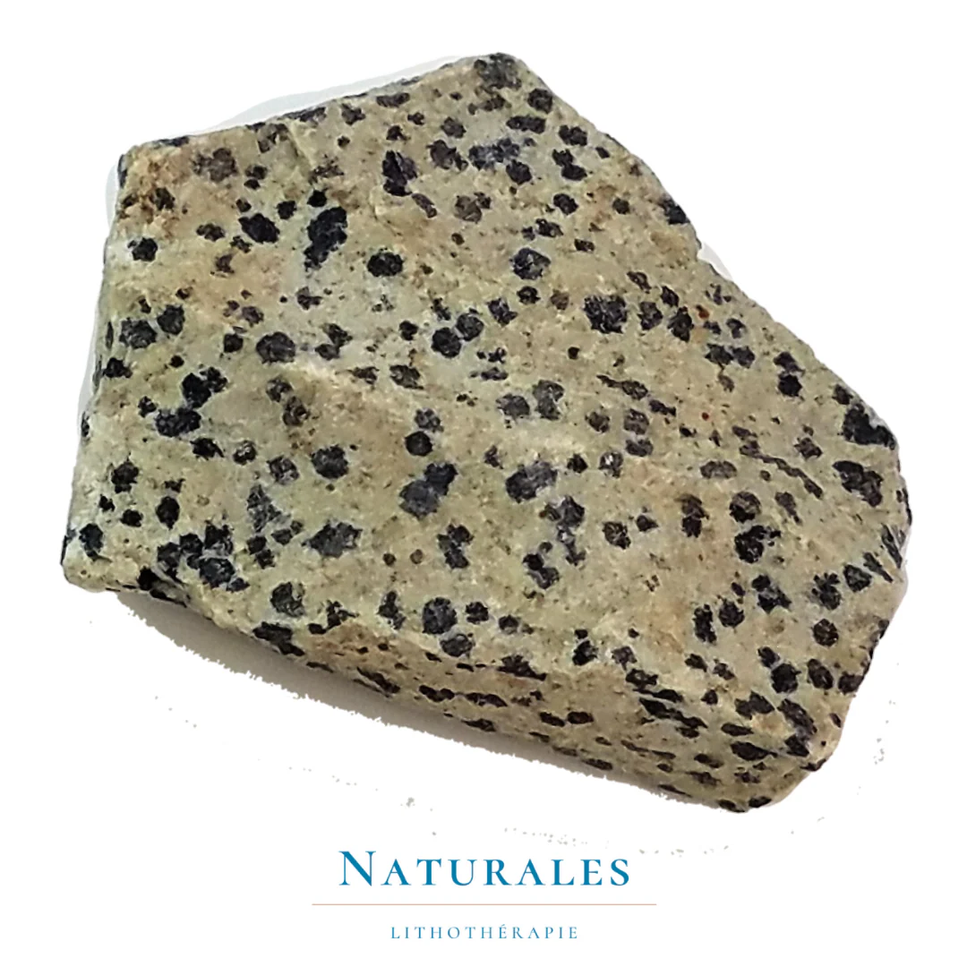 Jaspe dalmatien brut - Patience / Culpabilité / Attaques psychiques