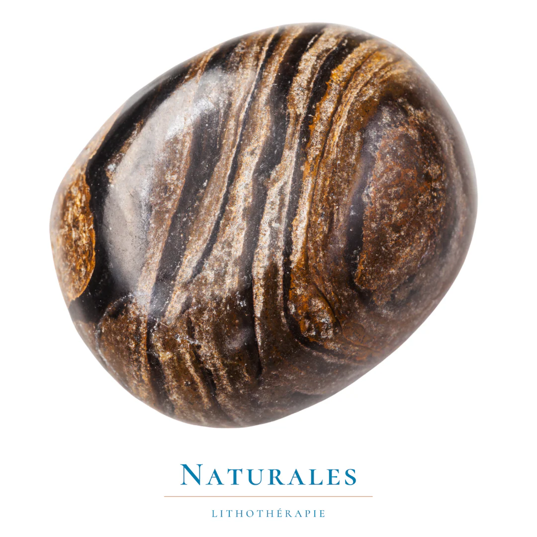 Stromatolite - ancestralité / patience / mental